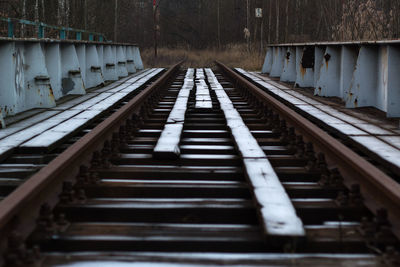Abandoned railroad tracks leading towards forest