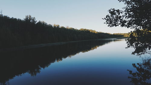 Reflection of trees in calm lake