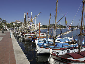 Sailboats moored in harbor