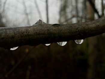 Close-up of hand against water