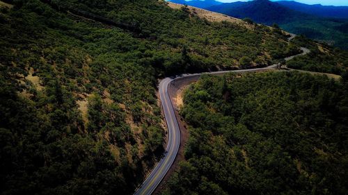 High angle view of road amidst trees in forest