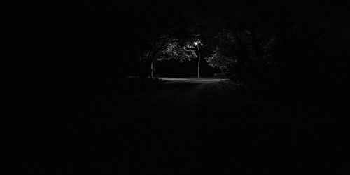 Road along trees at night