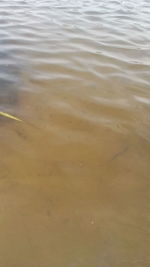 High angle view of beach