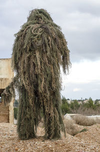 Rear view of army man wearing ghillie suit on field