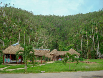 Houses by trees in village against sky