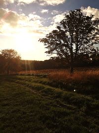 Scenic view of field against sky at sunset