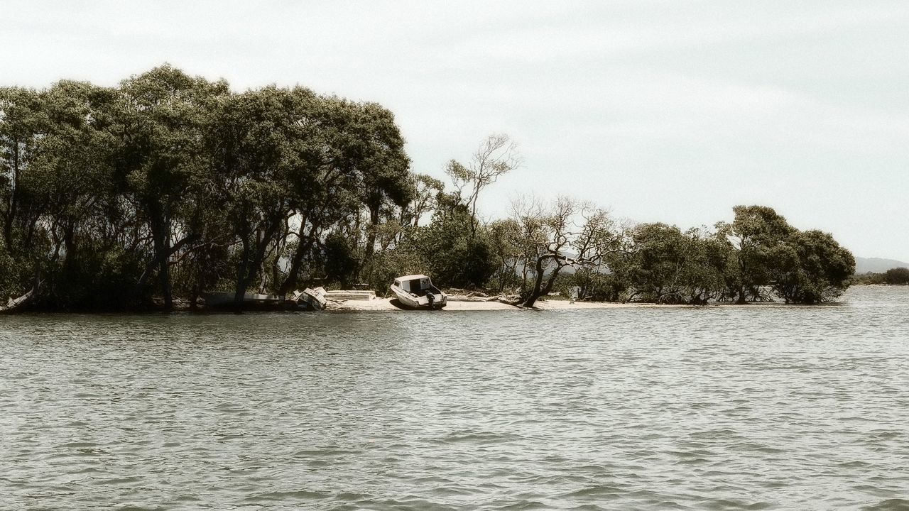 SCENIC VIEW OF RIVER AGAINST TREES