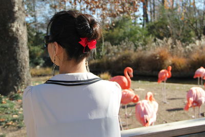 Rear view of woman by flamingos at zoo