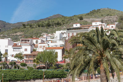 Palm trees and houses against sky