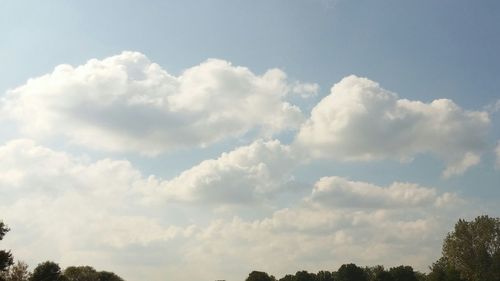 Low angle view of trees against cloudy sky