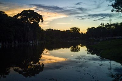 Reflection of trees in calm lake