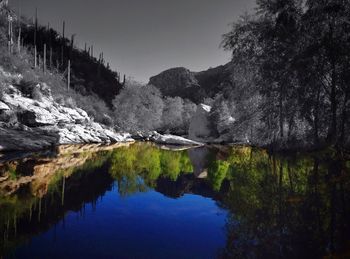 Reflection of trees in lake