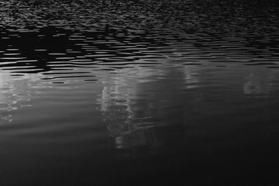 Reflection of trees in puddle