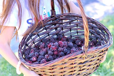 Midsection of woman carrying blackberries in basket at farm
