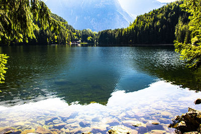 Scenic view of lake by trees against sky