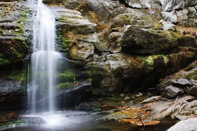 Idyllic view of waterfall on mountain in forest