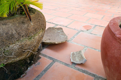 High angle view of stone wall