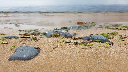 Close-up of stones on sand