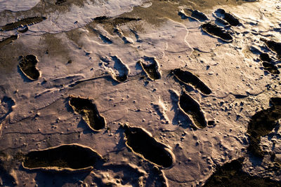 High angle view of footprints on sandy beach