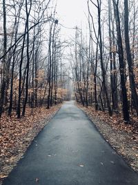 Road amidst trees in forest during autumn