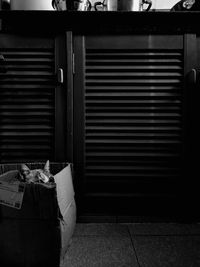 Rear view of closed shutter of store