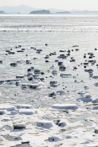 Close-up of snow on beach against sky