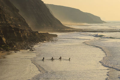 Group of surfers going to surf in the ocean at the sunset.