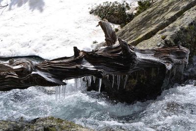 River flowing through rocks