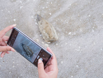 Girl taking picture of seashells on the beach with smartphone a friend saved her holiday memories