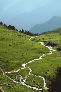 Scenic view of green kackar mountains