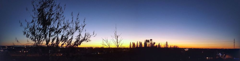 Silhouette trees against sky during sunset