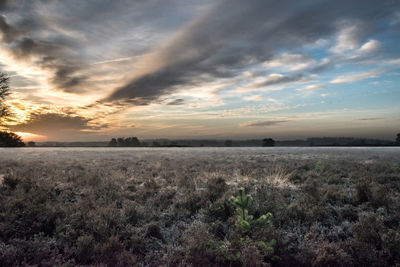 Scenic view of field against sky at sunset