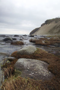 Scenic view of beach against sky