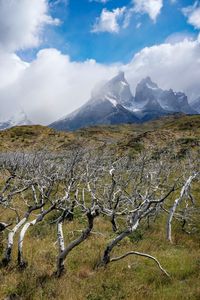 Scenic view of landscape and mountains against sky