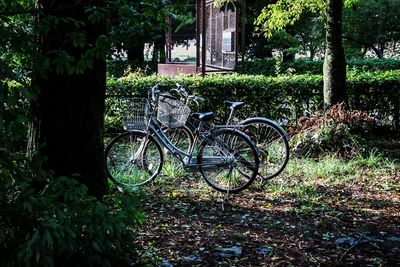 Bicycle against trees on field