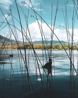 Scenic view of lake against sky