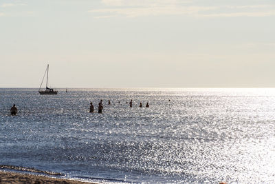 Birds on beach against sky