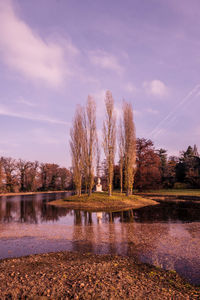 Bare trees by lake against sky