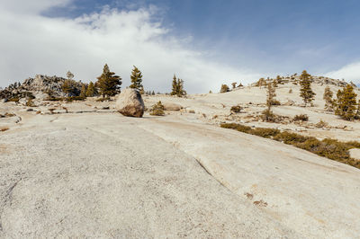 Scenic view of landscape against sky during winter