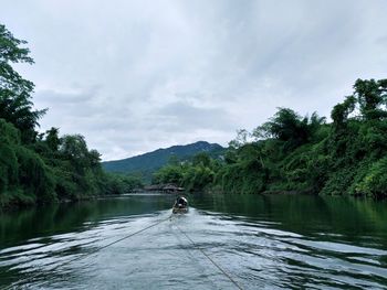 Scenic view of river amidst trees against sky