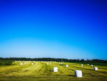 Scenic view of field against clear blue sky