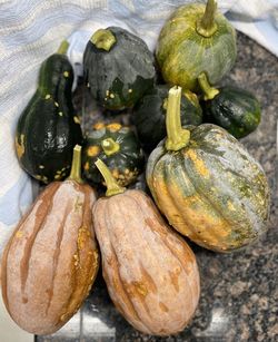 High angle view of pumpkins