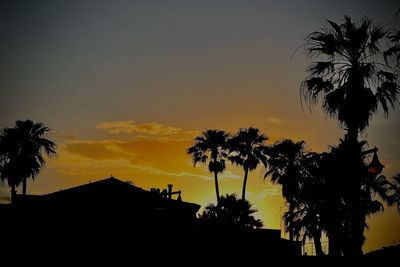 Silhouette palm trees against sky during sunset