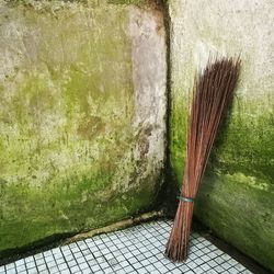 Close-up of tree leaning on wall