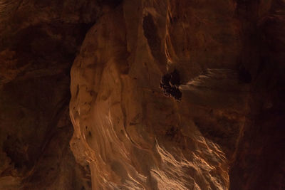 Extreme close up of leaf