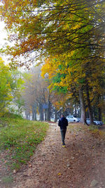 Rear view of person walking on autumn leaves