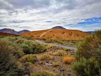 Scenic view of landscape against sky