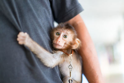 Portrait of man holding monkey 