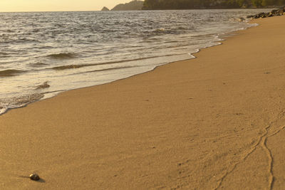 Scenic view of beach