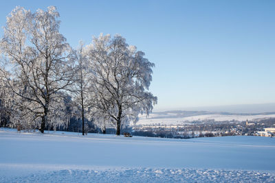 Trees on snow covered landscape against clear blue sky